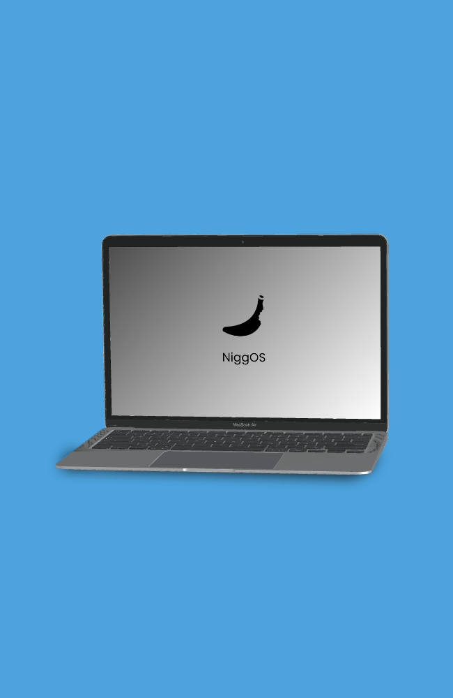 niggbook Pro